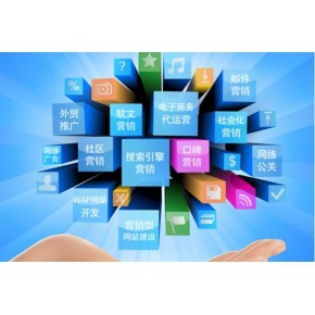 網(wǎng)站建設(shè)與運(yùn)營(yíng) 從著陸頁(yè)設(shè)計(jì)到持續(xù)發(fā)展